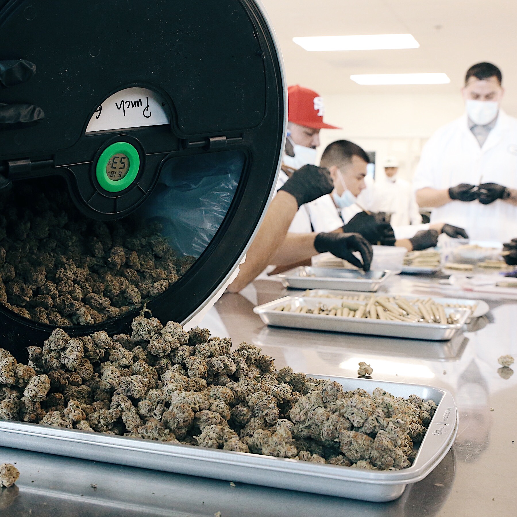 FACILITY-0184 - cannabis facility asset